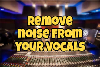remove noise from your vocals