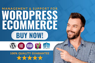 provide maintenance and support for your wordpress ecommerce