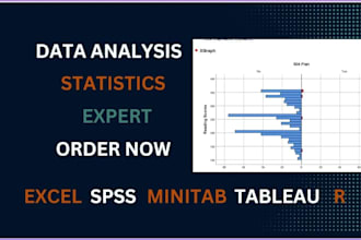 do spss data analysis, minitab, excel and econometrics