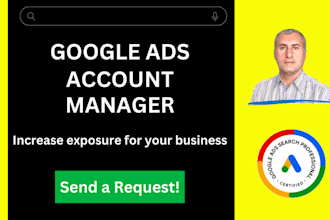 be your google ads account manager