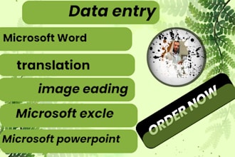 do microsoft office word , excel and powerpoint projects