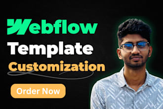 customize or update webflow template and webflow website