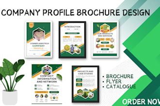 design business brochure, company profile, catalog, proposal or annual report