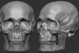 sculpt your 3d character, creature or human