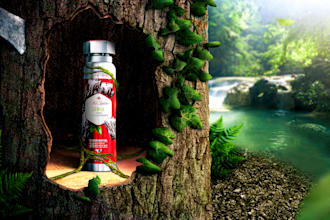 make an image manipulation for your products advertisements