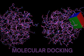 do molecular docking for you by using autodock vina