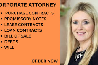 write bill of sales, deeds, wills,promissory note, lease,loan and sales contract