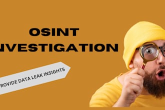 conduct osint investigation and provide data leak insights
