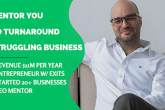 mentor you to turn around your failing business