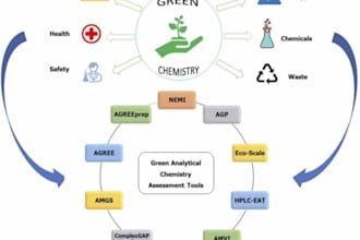 make infographic flowchart and timeline designs on canva within 12 hours
