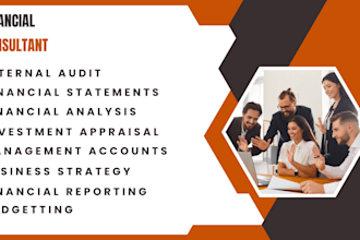audit, financial statement, financial analysis of accounts