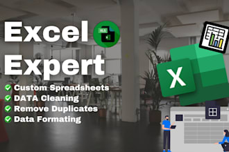 do excel data cleaning, format, automate, CSV, power query