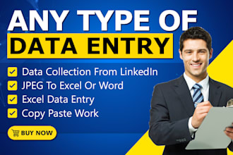 do excel data entry, copy paste, web research, fast typing, and pdf to excel