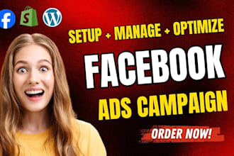 setup facebook ads, instagram ad, fb pixel, meta ad campaign for leads and sales