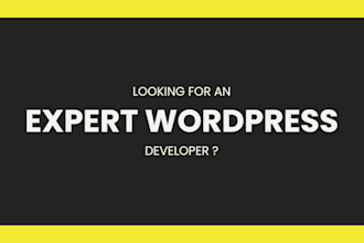 be your expert wordpress developer
