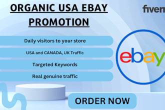 drive ebay USA targeted keyword organic web audience to increase ebay sales