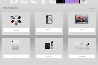design a professional shopify website