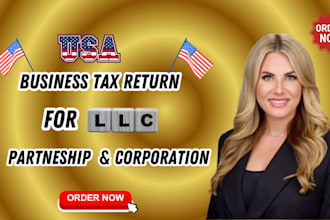 efile USA business tax returns for llc partnership  corporation