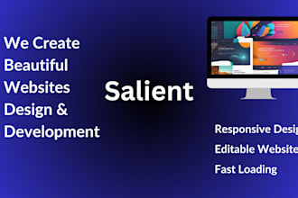 do salient theme customization