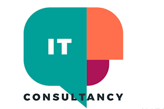 provide IT consultancy and network administrations