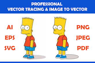 professional vector tracing and image to vector conversion