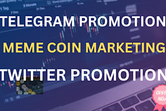 increase meme coin investor solana meme coin twitter, telegram promotion