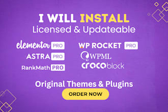 install elementor pro, rank math pro, wp rocket in 30 minutes