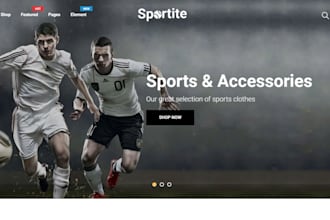 do custom sports jersey shopify store athletic apparel website sport gear store