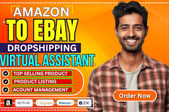 be your ebay dropshipping virtual assistant