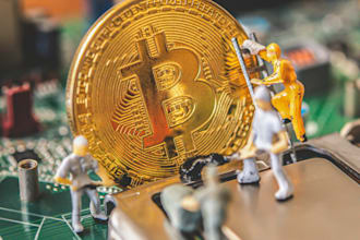 setup profitable daily withdrawal bitcoin bot, btc app