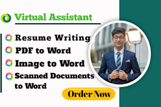 do english typing job, retype scanned document, pdf to word
