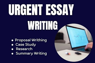 do essay writing as an essay writing expert