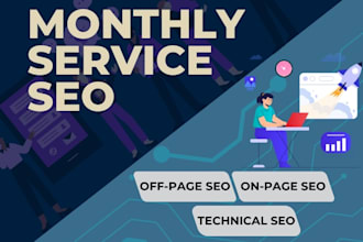 provide monthly seo service fully manual method