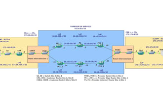 do cisco packet tracer, ccna, gns3 and computer network tasks