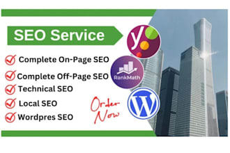 provide expert seo services to boost your website rankings