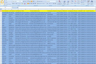 collect 1000 decision makers email addresses database from linkedin