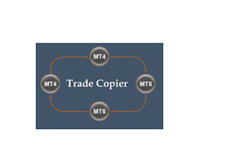 develop a forex trade copier for mt4 and mt5 platform