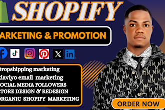 boost shopify sales, shopify website traffic, organic shopify marketing