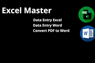 excel data entry analysis reporting