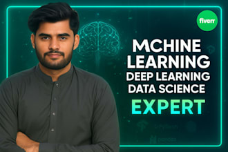 offer machine learning deep learning neural networks and data science services
