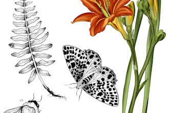 draw realistic botanical illustrations of flowers plants, fruits