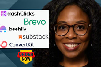 integrate dashclicks with brevo, beehiiv newsletter beehive landing page, beehiv