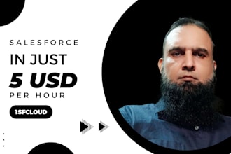 do any salesforce development and administration task