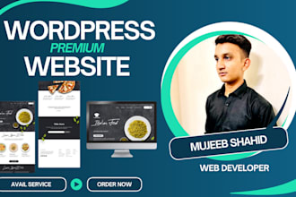 do website development, web design with wordpress