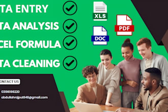 do ms excel data entry, data cleaning, split data formatting