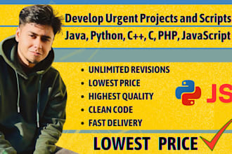 develop urgent projects and scripts in java, python, cpp, c, js, PHP