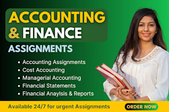 do accounting and finance assignments using excel spreadsheet