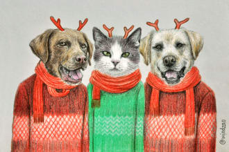 draw fun pet animal portrait for you