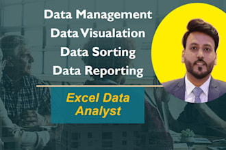 do advance excel data analyst tasks for you