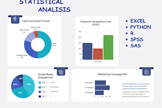 do statistical analysis with reports using excel, python, r or spss